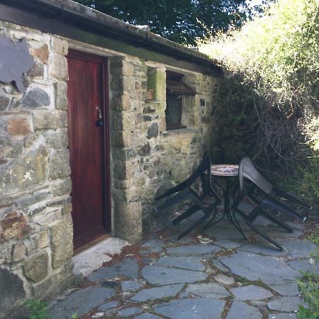 Homer Farm Marytavy ภายนอก รูปภาพ